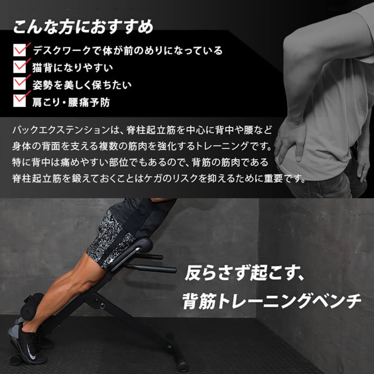 Amazon.co.jp: リーディングエッジ バックエクステンションベンチ
